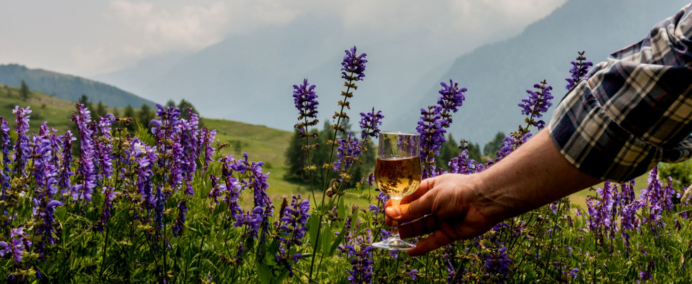 El elixir de los Bernard: 118 años de alquimia con hierbas y flores de los Alpes